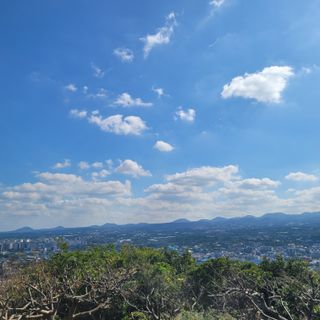 서귀포달코롬감귤농원님의 자유주제 · 사진전 작성글 사진