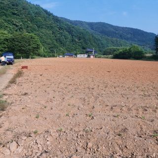 홍순원님의 작성글 사진