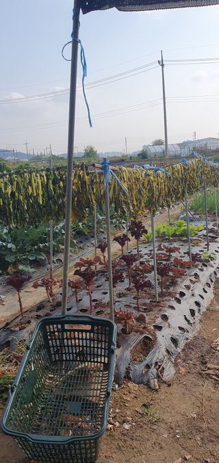 김익중님의 자유주제 · 자유게시판 작성글 사진