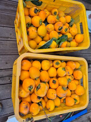 이정민님의 자유주제 · 자유게시판 작성글 사진