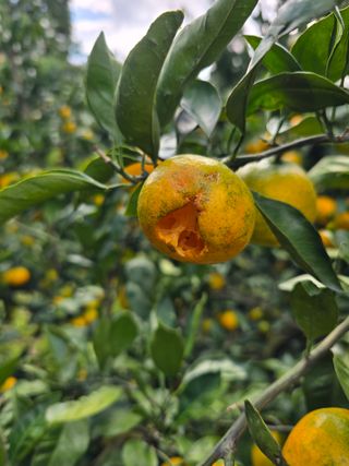 참깨6029님의 자유주제 · 자유게시판 작성글 사진