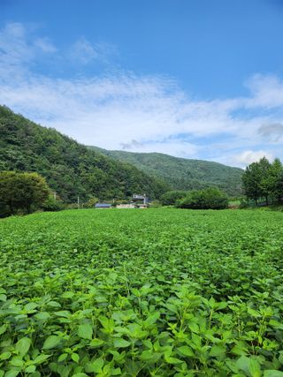 홍순원님의 작성글 사진