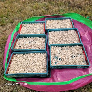 정찬영님의 작성글 사진