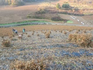 송경희님의 자유주제 · 자유게시판 작성글 사진