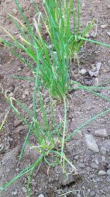 팜모닝 자유주제·자유게시판 게시글 이미지