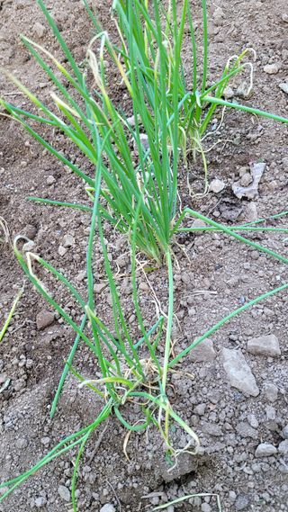 최병서님의 자유주제 · 자유게시판 작성글 사진