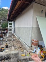 팜모닝 자유주제·자유게시판 게시글 이미지