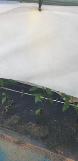 팜모닝 자유주제·자유게시판 게시글 이미지