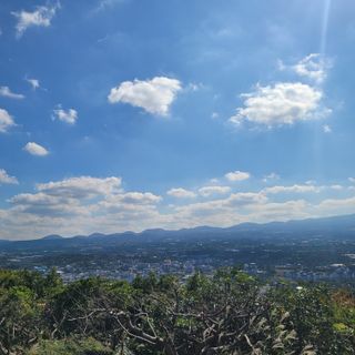 서귀포달코롬감귤농원님의 자유주제 · 사진전 작성글 사진