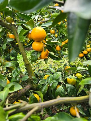 참깨6029님의 자유주제 · 자유게시판 작성글 사진