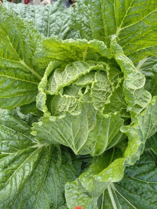 오화순님의 자유주제 · 자유게시판 작성글 사진