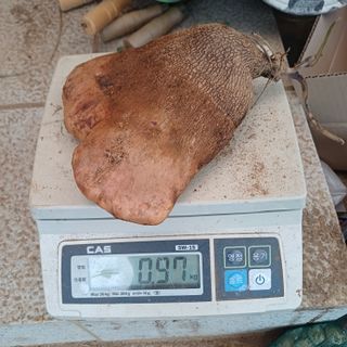 삼성농산님의 자유주제 · 자유게시판 작성글 사진