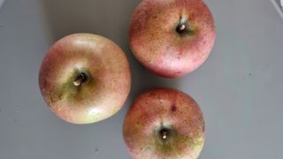 시금치21480님의 자유주제 · 자유게시판 작성글 사진