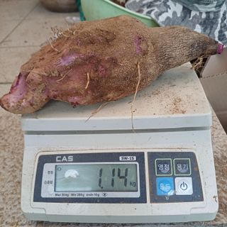 삼성농산님의 자유주제 · 자유게시판 작성글 사진