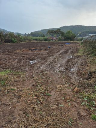 이정민님의 자유주제 · 자유게시판 작성글 사진