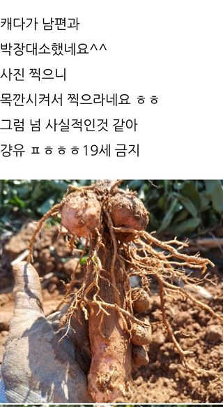 삼성농산님의 자유주제 · 자유게시판 작성글 사진