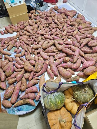 이정자님의 자유주제 · 자유게시판 작성글 사진