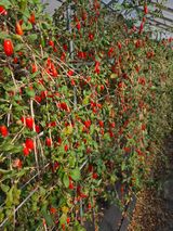 팜모닝 자유주제·자유게시판 게시글 이미지