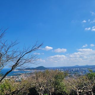 서귀포달코롬감귤농원님의 자유주제 · 사진전 작성글 사진