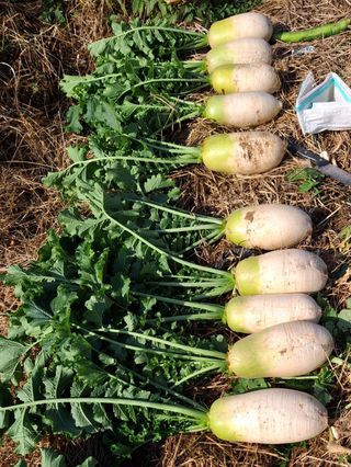 MSG0074님의 자유주제 · 자유게시판 작성글 사진