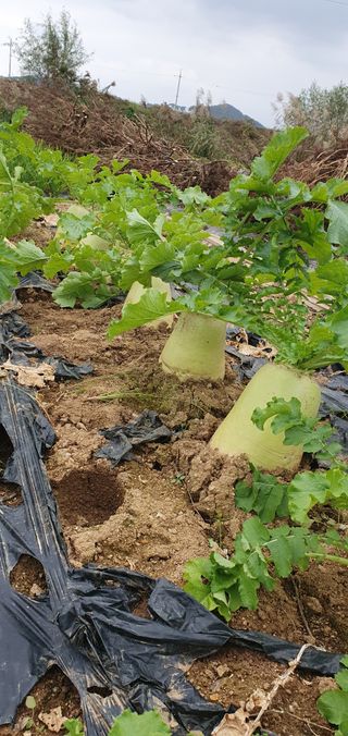 김익중님의 자유주제 · 자유게시판 작성글 사진