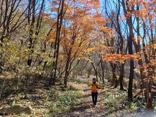 거촌어른님의 자유주제 · 자유게시판 작성글 사진