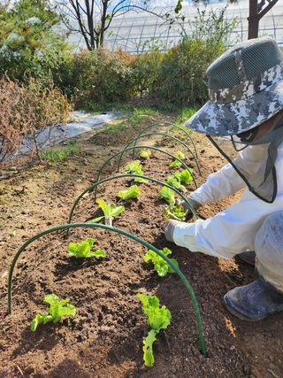장석오님의 자유주제 · 자유게시판 작성글 사진