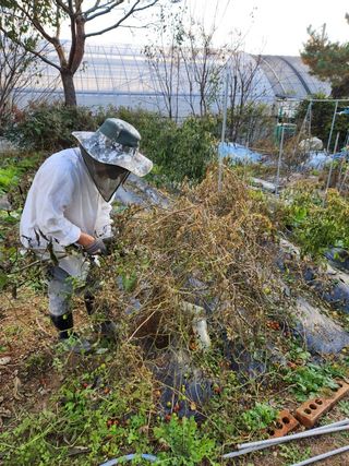 장석오님의 자유주제 · 자유게시판 작성글 사진