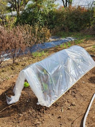 장석오님의 자유주제 · 자유게시판 작성글 사진