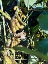 팜모닝 자유주제·자유게시판 게시글 이미지