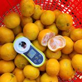 팜모닝 귤·일상 게시글 이미지