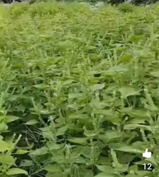 문정주님의 작성글 사진