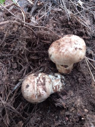 연향님의 자유주제 · 자유게시판 작성글 사진