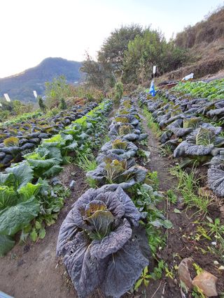 가수지현아님의 자유주제 · 자유게시판 작성글 사진