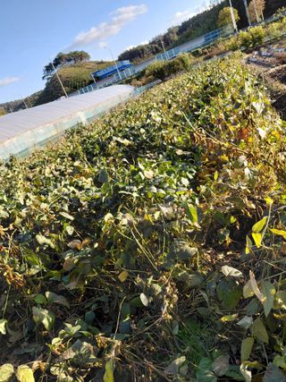 오화순님의 자유주제 · 자유게시판 작성글 사진