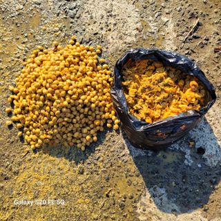 정찬영님의 자유주제 · 자유게시판 작성글 사진