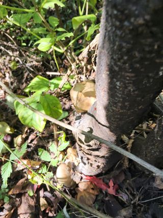 지대식님의 자유주제 · 자유게시판 작성글 사진