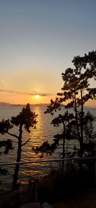 초보퍼머5도2촌준비님의 자유주제 · 자유게시판 작성글 사진