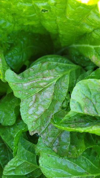 김민희님의 자유주제 · 자유게시판 작성글 사진