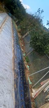 팜모닝 자유주제·자유게시판 게시글 이미지