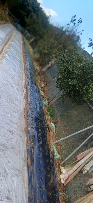 초보퍼머5도2촌준비님의 자유주제 · 자유게시판 작성글 사진