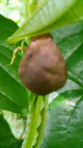 정보센터님의 작성글 사진