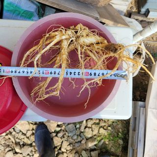 이창화님의 자유주제 · 자유게시판 작성글 사진