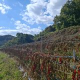 팜모닝 자유주제·자유게시판 게시글 이미지