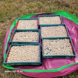 팜모닝 자유주제·자유게시판 게시글 이미지