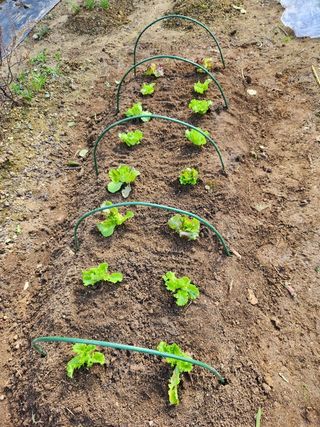 장석오님의 자유주제 · 자유게시판 작성글 사진