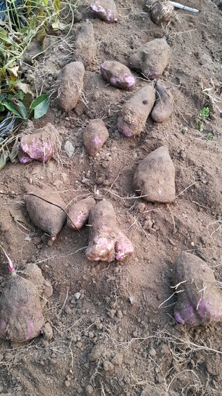 정보센터님의 작성글 사진