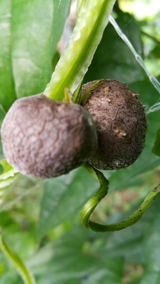 정보센터님의 작성글 사진