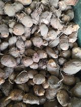 팜모닝 · 게시글 이미지