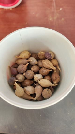 조새힘님의 작성글 사진